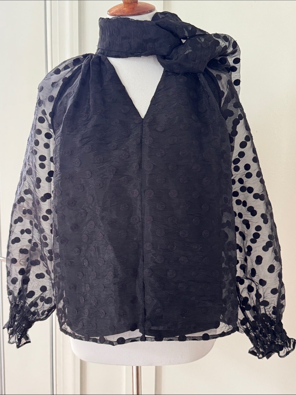 Tuckernuck Black Sheer Polka-Dot Bow Blouse S